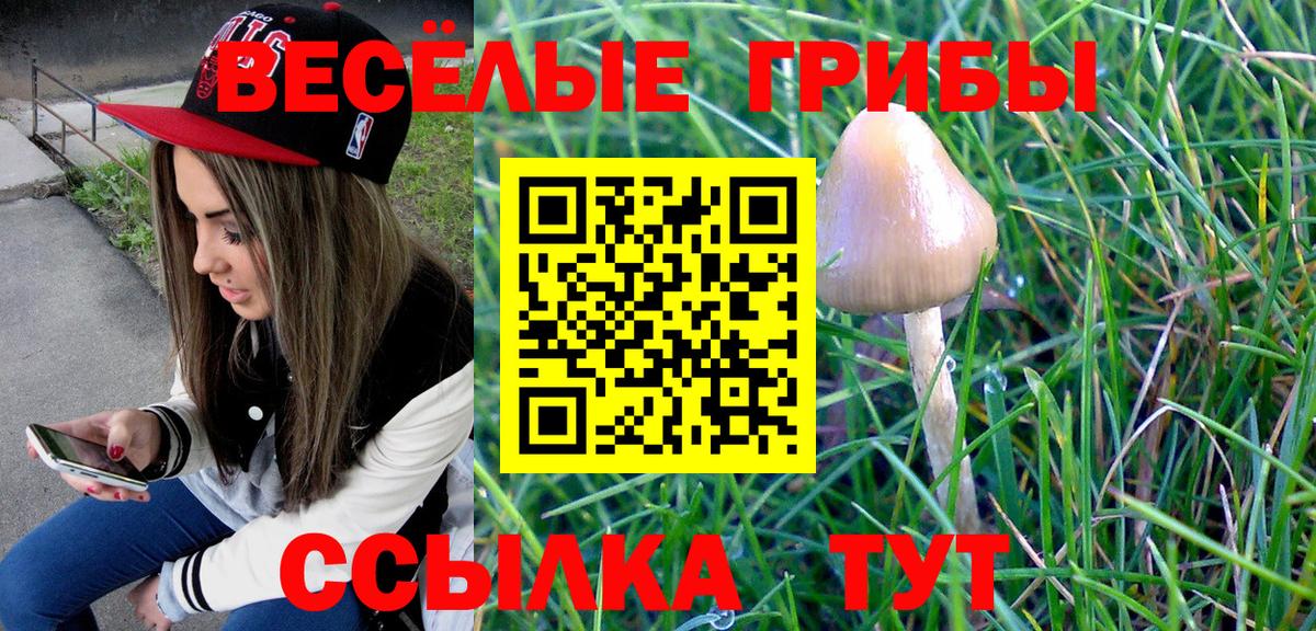 Галлюциногенные грибы мицелий  Псилоцибиновые грибы прущие грибы  Ачхой-Мартан  Вход с VPN 