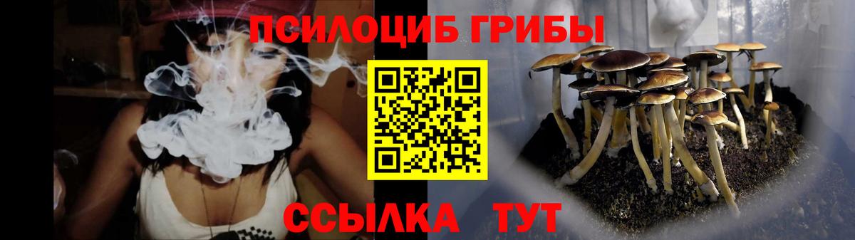 Галлюциногенные грибы мицелий Ачхой-Мартан